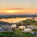 Sunset in Ireland