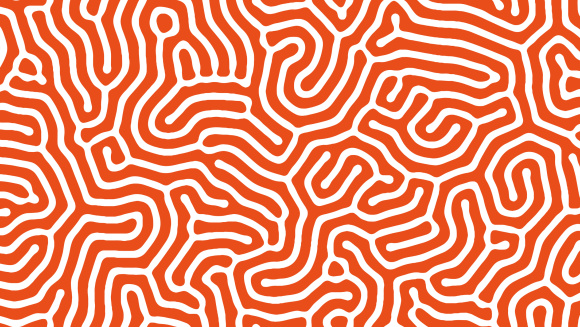 The pattern of the brain