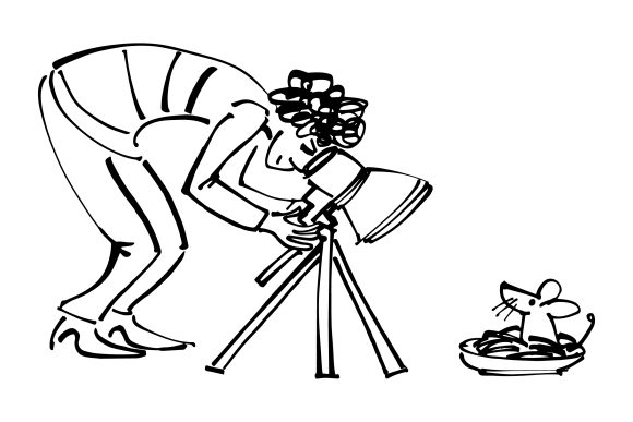 An illustration of a woman looking at a mouse