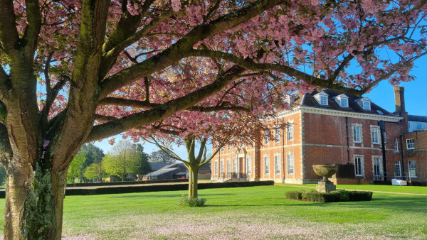 Photo of Beechwood Park School