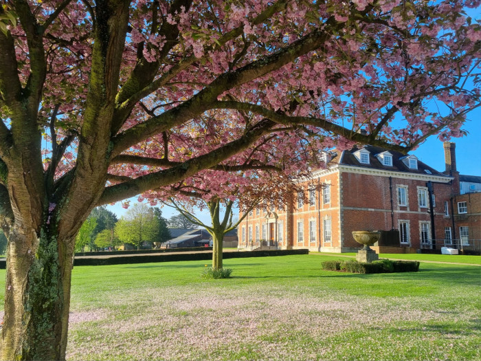 Photo of Beechwood Park School