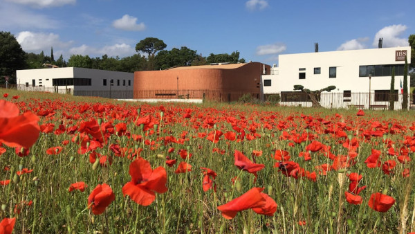 Photo of International Bilingual School of Provence