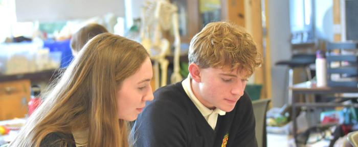 Photo of The High School